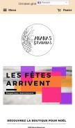 How ananas-bananas.com looks like on a mobile device such as an iPhone.