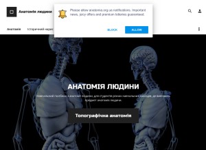 How anatomia.org.ua looks like on a tablet such as an iPad.