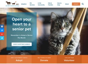 How animalhumanesociety.org looks like on a tablet such as an iPad.