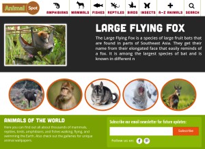 How animalspot.net looks like on a tablet such as an iPad.