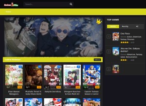 How animeflix.com.co looks like on a tablet such as an iPad.