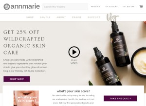 How annmariegianni.com looks like on a tablet such as an iPad.