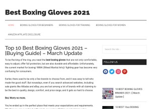 How anyboxinggloves.com looks like on a tablet such as an iPad.