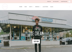 How apbstore.com looks like on a tablet such as an iPad.
