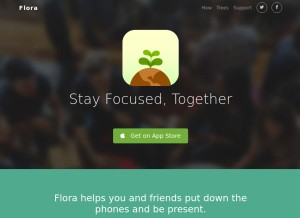 How appfinca.com looks like on a tablet such as an iPad.