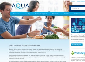 How aquaamerica.com looks like on a tablet such as an iPad.