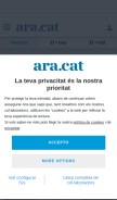 How ara.cat looks like on a mobile device such as an iPhone.