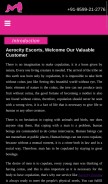 How articleworld.in looks like on a mobile device such as an iPhone.