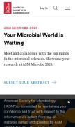 How asm.org looks like on a mobile device such as an iPhone.