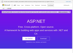 How asp.net looks like on a tablet such as an iPad.