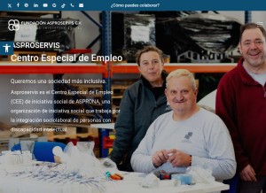 How asproservis.com looks like on a tablet such as an iPad.