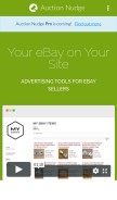 How auctionnudge.com looks like on a mobile device such as an iPhone.