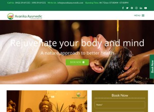 How avanikaayurvedic.com looks like on a tablet such as an iPad.