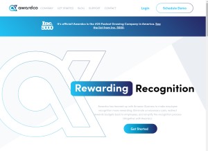 How awardco.com looks like on a tablet such as an iPad.