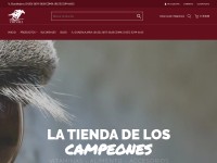 Desktop screenshot for chivali.com