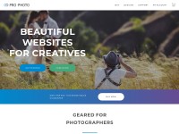 Desktop screenshot for pro.photo