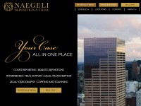 Desktop screenshot for naegeliusa.com