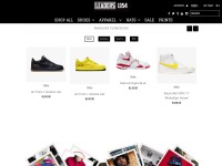 Desktop screenshot for ldrs1354.com