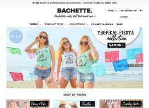How bachette.com looks like on a tablet such as an iPad.