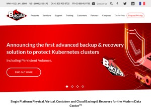 How baculasystems.com looks like on a tablet such as an iPad.