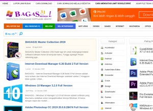 How bagas31.info looks like on a tablet such as an iPad.