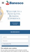How banescousa.com looks like on a mobile device such as an iPhone.