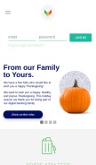 How bankmobilevibe.com looks like on a mobile device such as an iPhone.