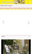 How baothuathienhue.vn looks like on a mobile device such as an iPhone.