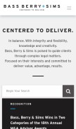 How bassberry.com looks like on a mobile device such as an iPhone.