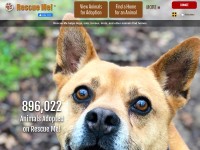 Desktop screenshot for rescueme.org