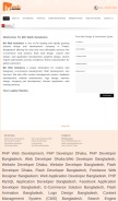 How bdwebsolutions.com looks like on a mobile device such as an iPhone.