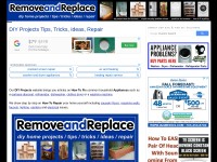 Desktop screenshot for removeandreplace.com