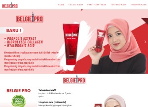 How belgieproofficial.com looks like on a tablet such as an iPad.
