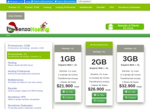 How benzahosting.cl looks like on a tablet such as an iPad.