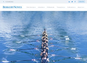 How berkerynoyes.com looks like on a tablet such as an iPad.