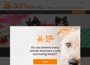 How bestfriends.org looks like on a tablet such as an iPad.