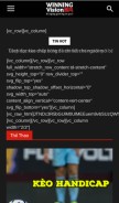 How betvision.top looks like on a mobile device such as an iPhone.