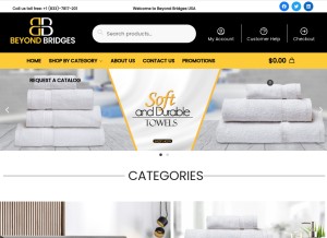 How beyondbridgesusa.com looks like on a tablet such as an iPad.