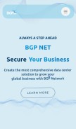 How bgp.net looks like on a mobile device such as an iPhone.