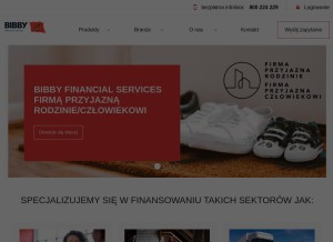 How bibbyfinancialservices.pl looks like on a tablet such as an iPad.