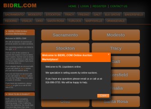How bidrl.com looks like on a tablet such as an iPad.