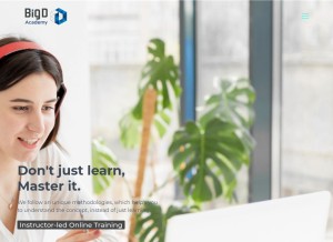 How bigdacademy.com looks like on a tablet such as an iPad.