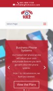 How bigfishvoice.com looks like on a mobile device such as an iPhone.