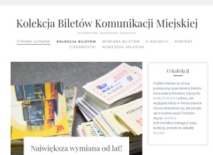 How biletykomunikacyjne.pl looks like on a tablet such as an iPad.