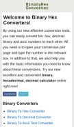 How binaryhexconverter.com looks like on a mobile device such as an iPhone.