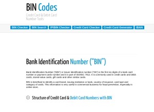 How bincodes.com looks like on a tablet such as an iPad.