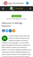 How bioexplorer.net looks like on a mobile device such as an iPhone.