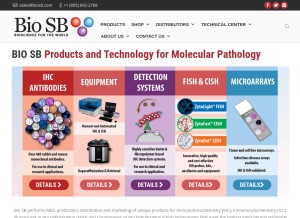 How biosb.com looks like on a tablet such as an iPad.