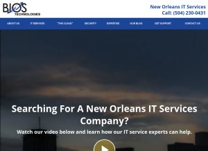 How biositgroup.com looks like on a tablet such as an iPad.