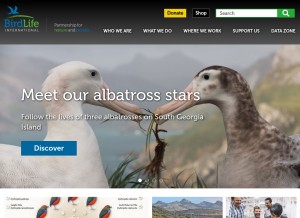 How birdlife.org looks like on a tablet such as an iPad.
